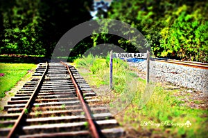 Railroad Tracks of LongLeaf Louisiana photo