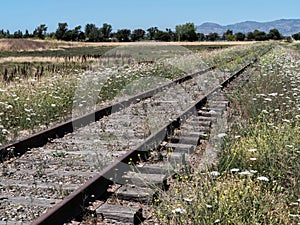 Railroad tracks at Napa, California