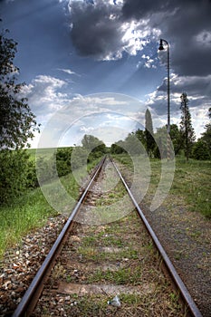 Railroad tracks in nature