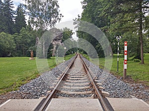 Railroad tracks near forest