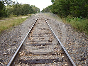 Railroad tracks near the woods