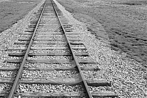 Railroad tracks off center with desert grasses