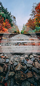 Railroad tracks on a rainy fall day