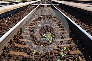 Railroad tracks run straight. Railroad track. Rails. Road for travel.Soft focus