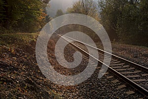 Railroad tracks running in the middle of a forest at sunset