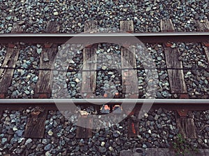 Railroad tracks in the station in the street.