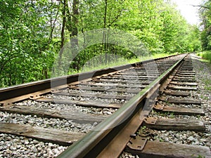 Railroad tracks on a summer day