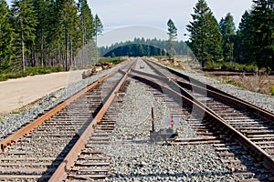 Railroad tracks switch