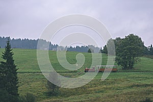 Railroad tracks in wet summer day in forest with vintage train c