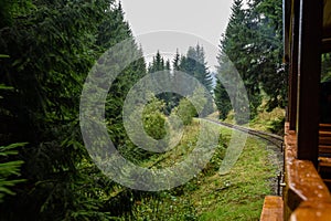 Railroad tracks in wet summer day in forest with vintage train c