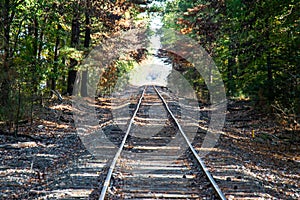 Railroad tracks in the woods leading to bright light