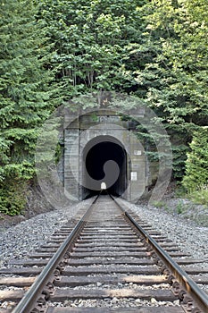 Railroad tunnel with foliage