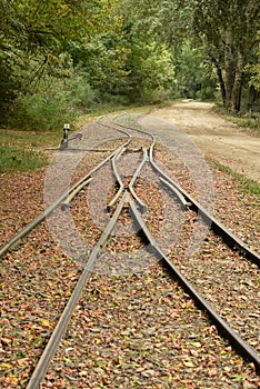 Railroads in the forest, Hungary