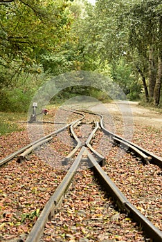 Railroads in the forest, Hungary