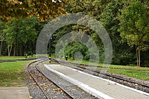 Railroads in the forest, Hungary photo
