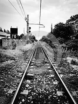 Rails in Bologna photo