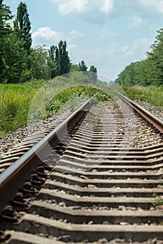 The rails with concrete sleepers go far into the green grass. The railroad line runs between the trees. In the background is a