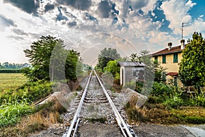 Rails of a country railroad crossing