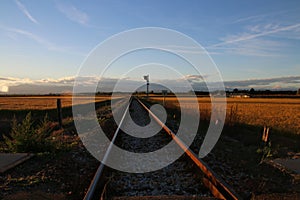 Rails on a field