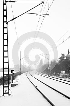 Rails in foggy snow