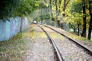 Rails for an old idle loren train in the forest