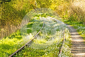 Rails out of order with flowers