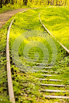 Rails out of order, overgrown with green grass