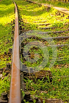 Rails overgrown with green grass