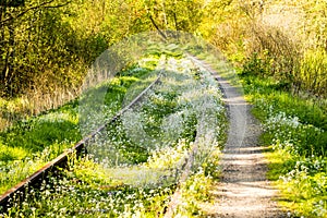 Rails overgrown with green grass and flowers