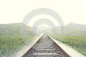 Rails of a railway in a place surrounded by nature