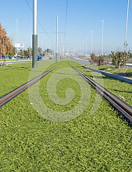 Rails of a tram