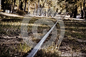 Rails of tram in the park, detail of street, old vintage urban transport, tourist path