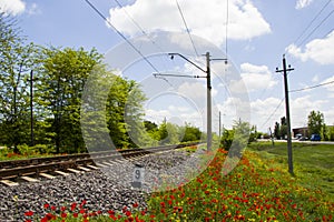 Rails view in Georgia, train road and station, lines and horizon with poppy and yellow flower