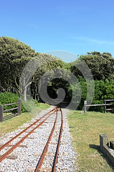 Railtrack through the forest