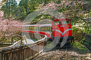 Railway in alishan forest recreation area, taiwan