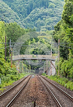 Railway in Arashiyama woods