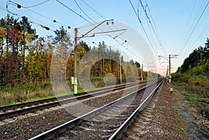 Railway in autumn forest