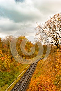 The railway in autumn forest