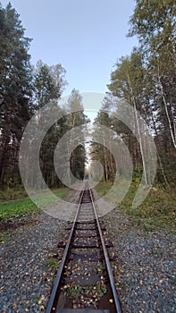 Railway in an autumn forest