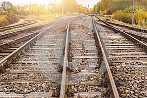 Railway in autumn forest