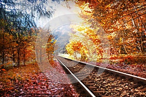 Railway in the autumn forest