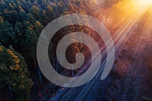 Railway autumn forest dawn view from a height