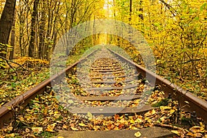 A railway in the autumn forest. Famous Tunnel of love formed by trees. Klevan, Rivnenska obl. Ukraine