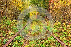 A railway in the autumn forest. Famous Tunnel of love formed by trees. Klevan, Rivnenska obl. Ukraine