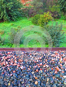 Railway ballast and orange tree