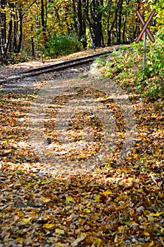 Railway in beautiful autumn forest