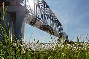 Railway bridge and blooming cotton grass