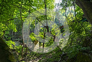 Railway bridge in forest in Lillafured