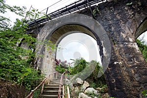 Railway bridge in the forest