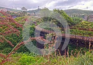 Railway bridge and tea plantations Nanuoya